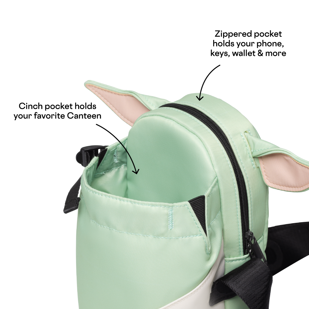 disney-sling-h2 53593b3e49e2--Sling-PDP-4.png