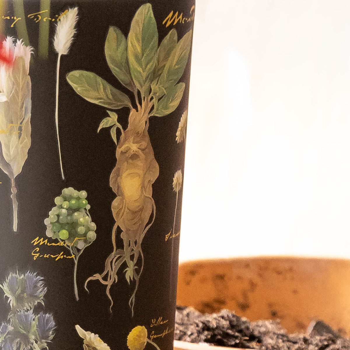 harry-potter-cold-cup-f1 Herbology-3.jpg