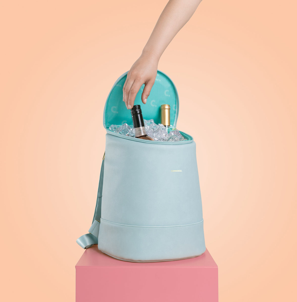 eola-bucket-cooler-bag-f8 a405954e83cf--EOLA-Bucket-copy.jpg